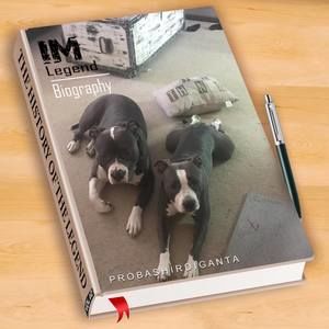 Meet your Posher, James